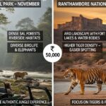 compare corbett and ranthambore for a 5 day wildlife photography trip in november on a 50k budget